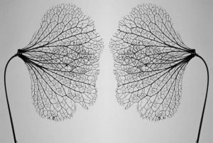 Ostéopathie énergétique, une thérapie à l'écoute du corps